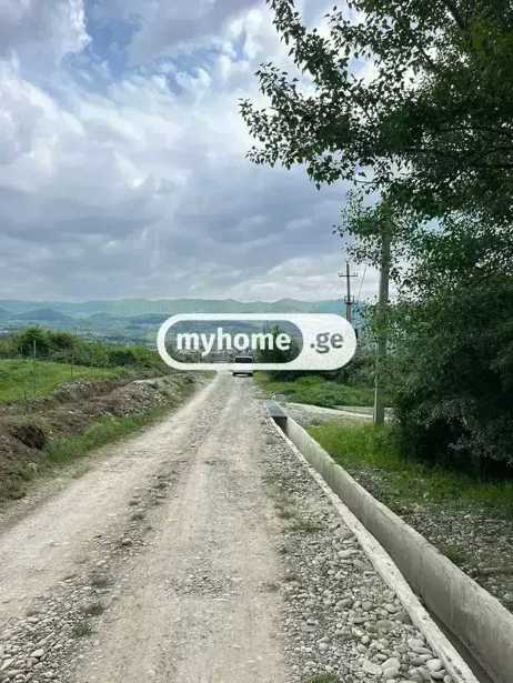 https://static.ss.ge/20250705/13_e4c5cba8-cb09-4ed4-a2c8-fe98a2011bfd_Thumb.jpg