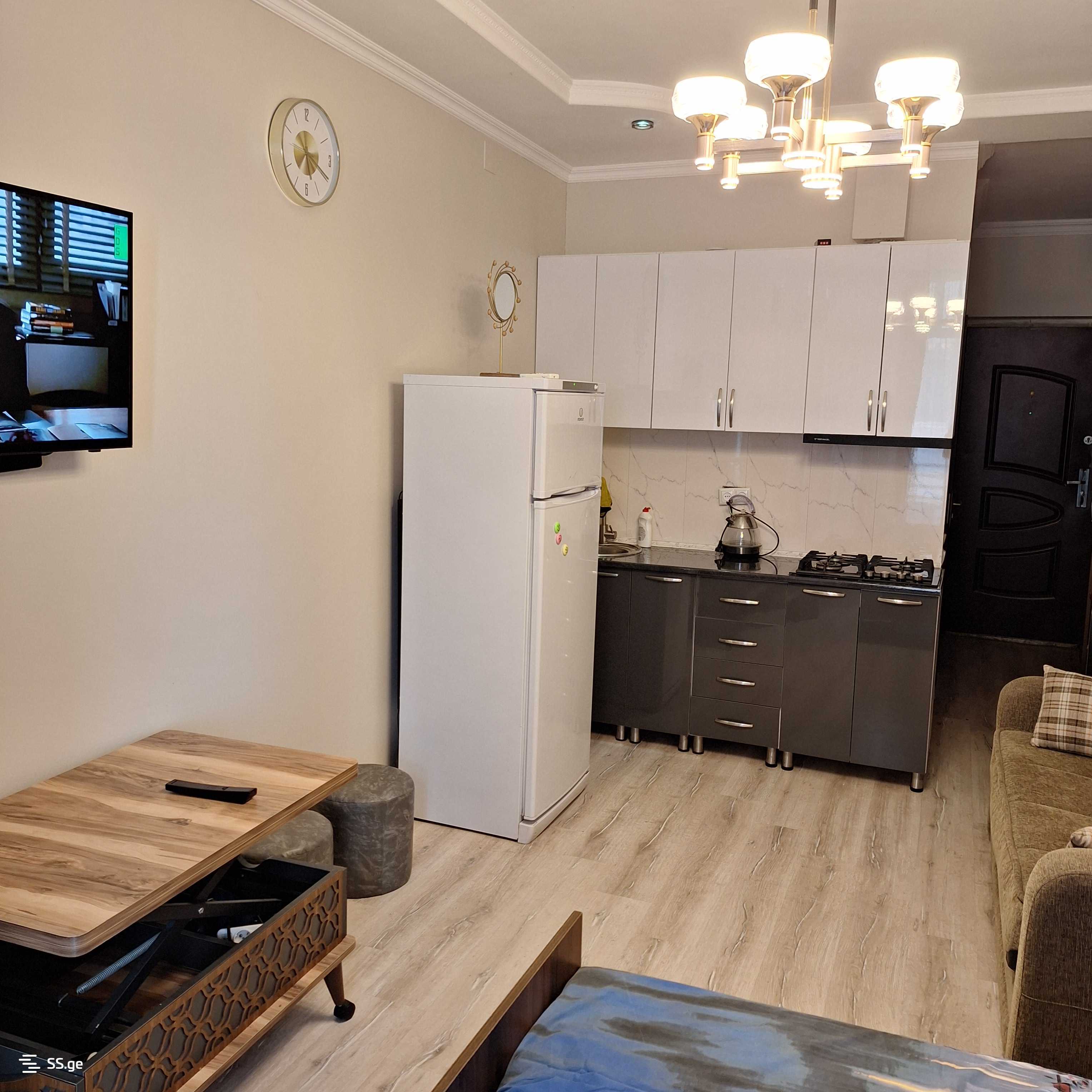 1 Room Flat Daily Rent. Batumi view 1