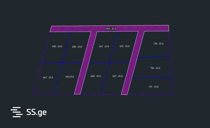 https://static.ss.ge/20250706/7_b703601a-146c-4494-b543-8acf3f8a08f2_Thumb.jpg