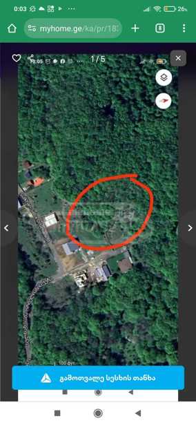 https://static.ss.ge/20250709/12_2d977752-d286-47f8-85c5-fb4f562573fb_Thumb.jpg