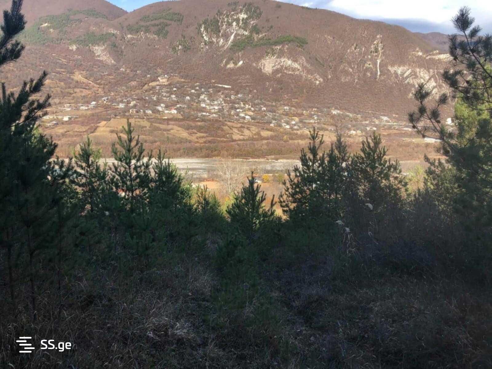 Land For Sale. Ambrolauri view 12