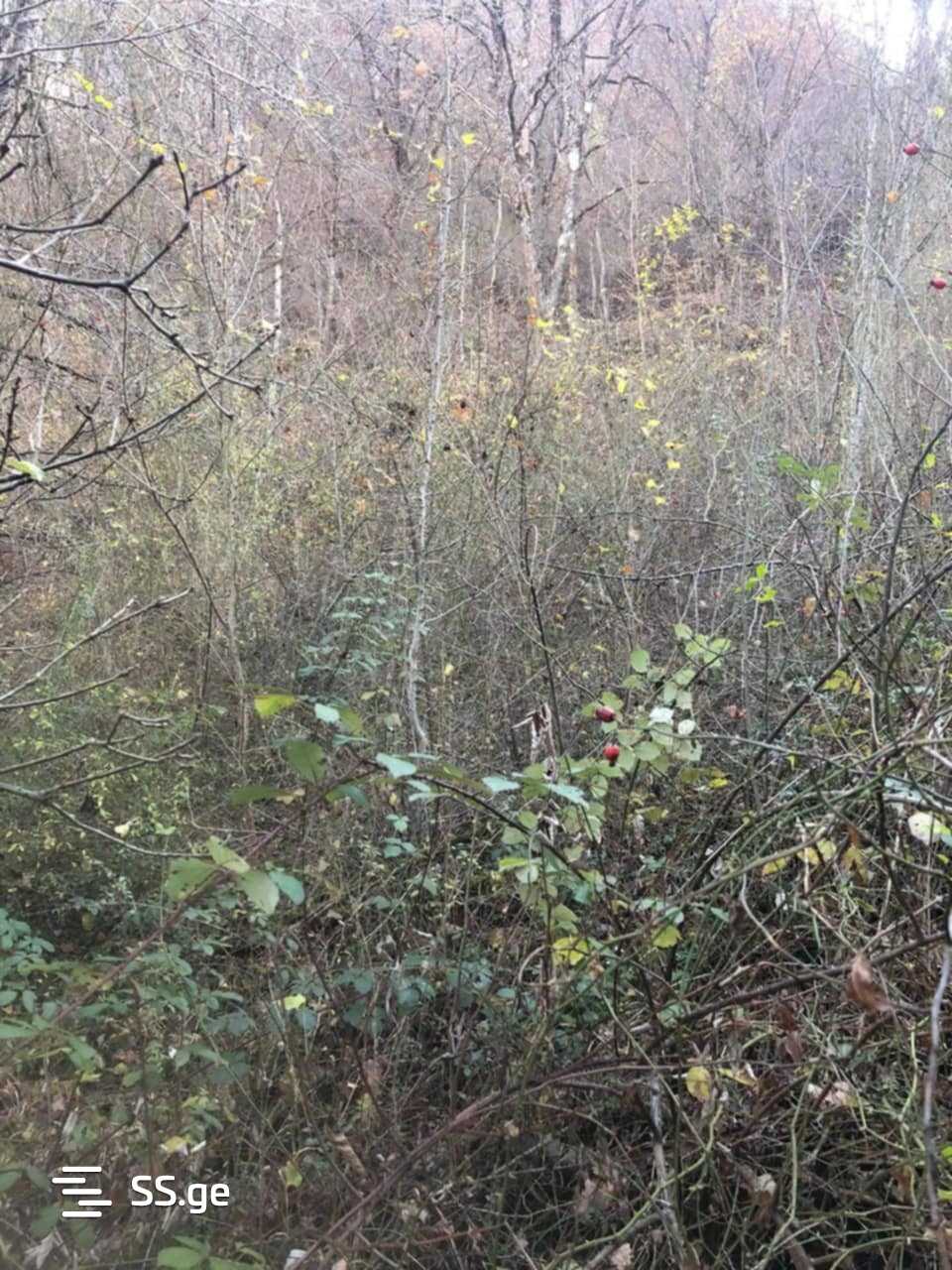 Land For Sale. Ambrolauri view 11