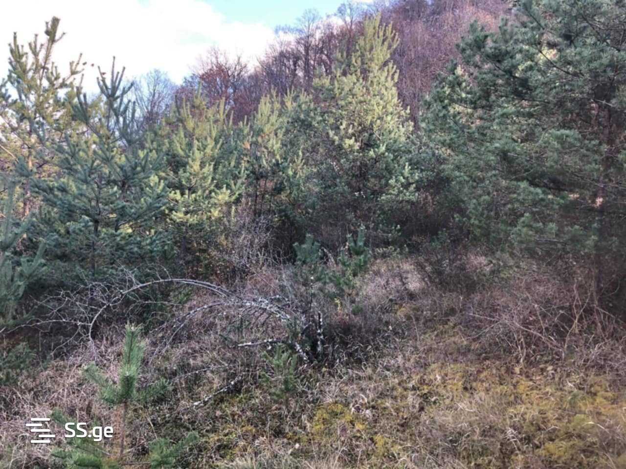 Land For Sale. Ambrolauri view 10