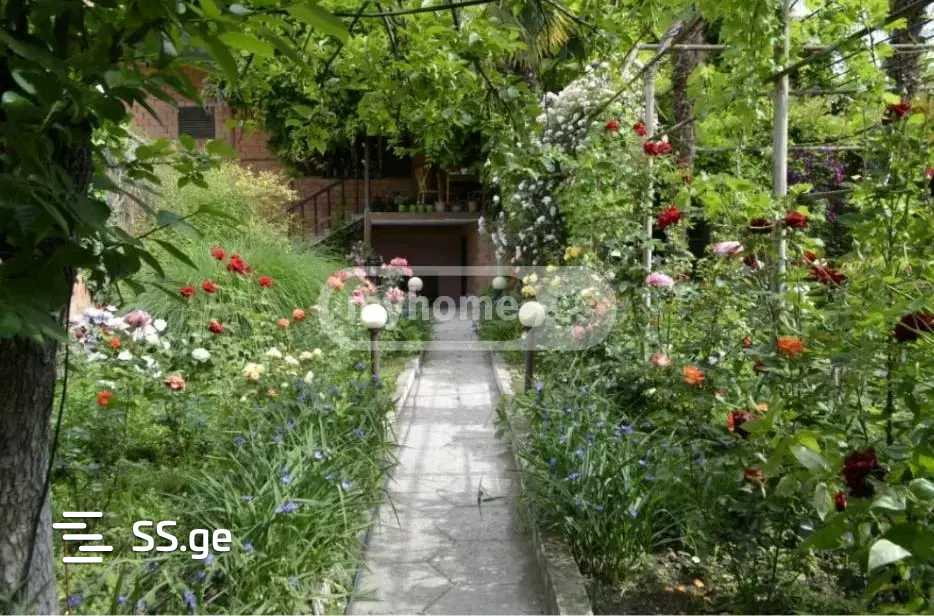 10 Room Hotel For Sale view 4