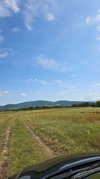 Land For Sale. Dusheti