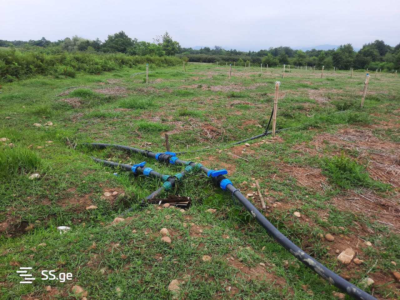 Land For Sale. Ozurgeti view 6