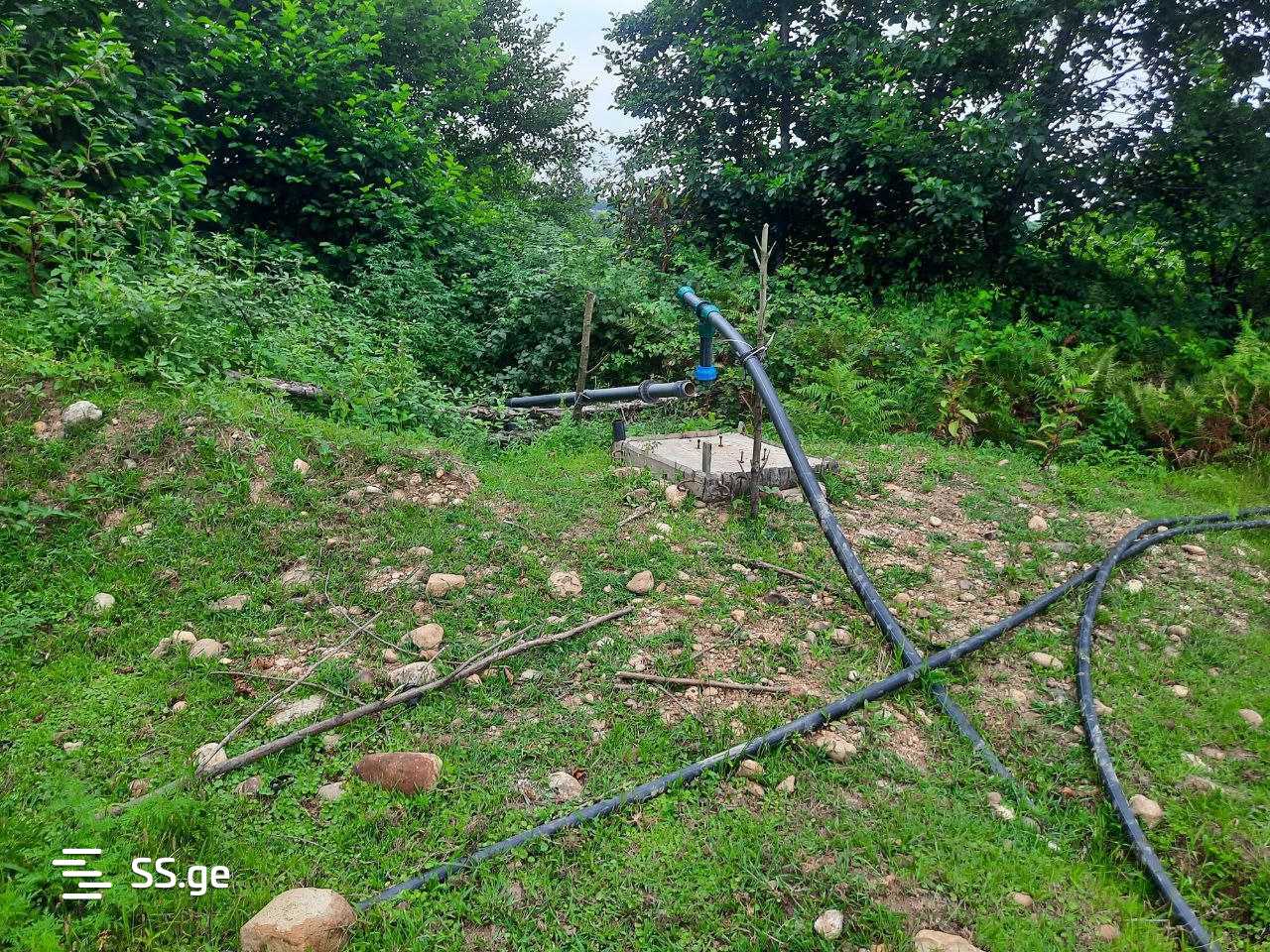 Land For Sale. Ozurgeti view 10