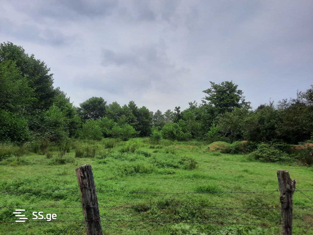 Land For Sale. Ozurgeti view 4
