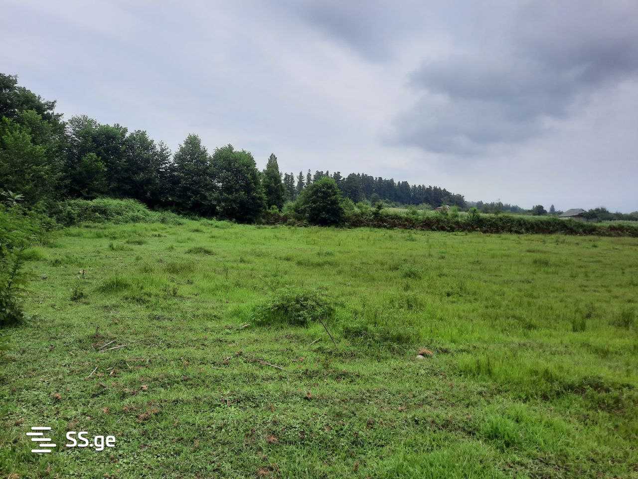 Land For Sale. Ozurgeti view 7