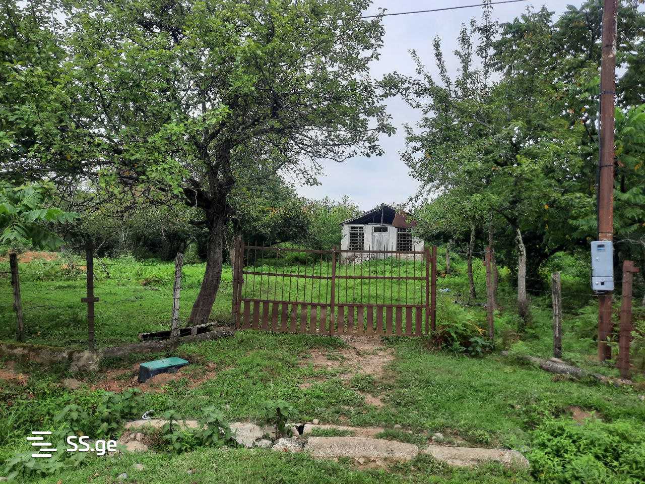Land For Sale. Ozurgeti view 1