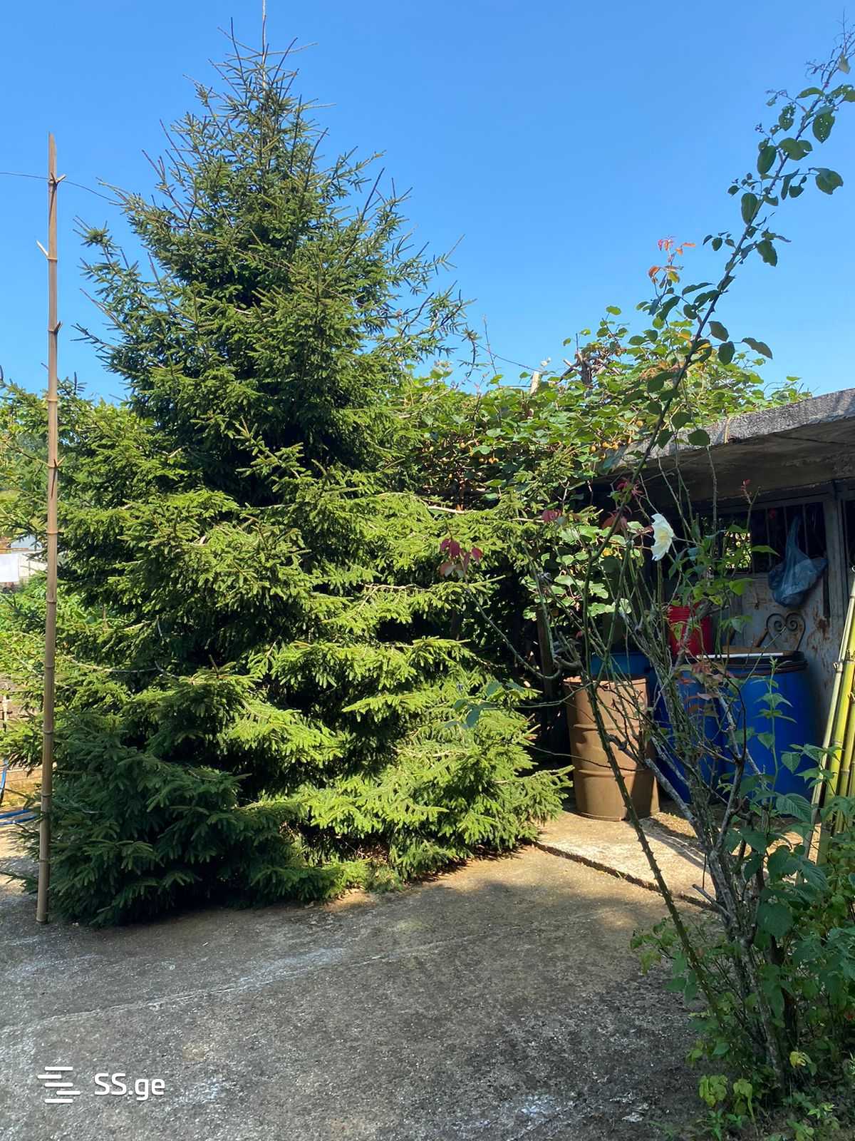 5 Room Private House For Sale view 7
