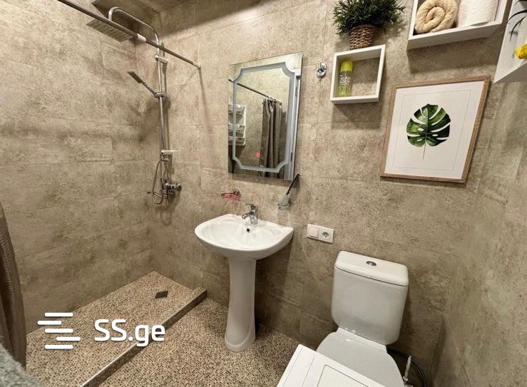 1 room Flat Daily rent. Didi digomi - Widok 4
