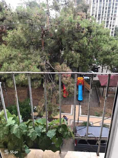 https://static.ss.ge/20250718/19_cc293f1b-265d-401a-a72c-1e7d3d6faf61_Thumb.jpg