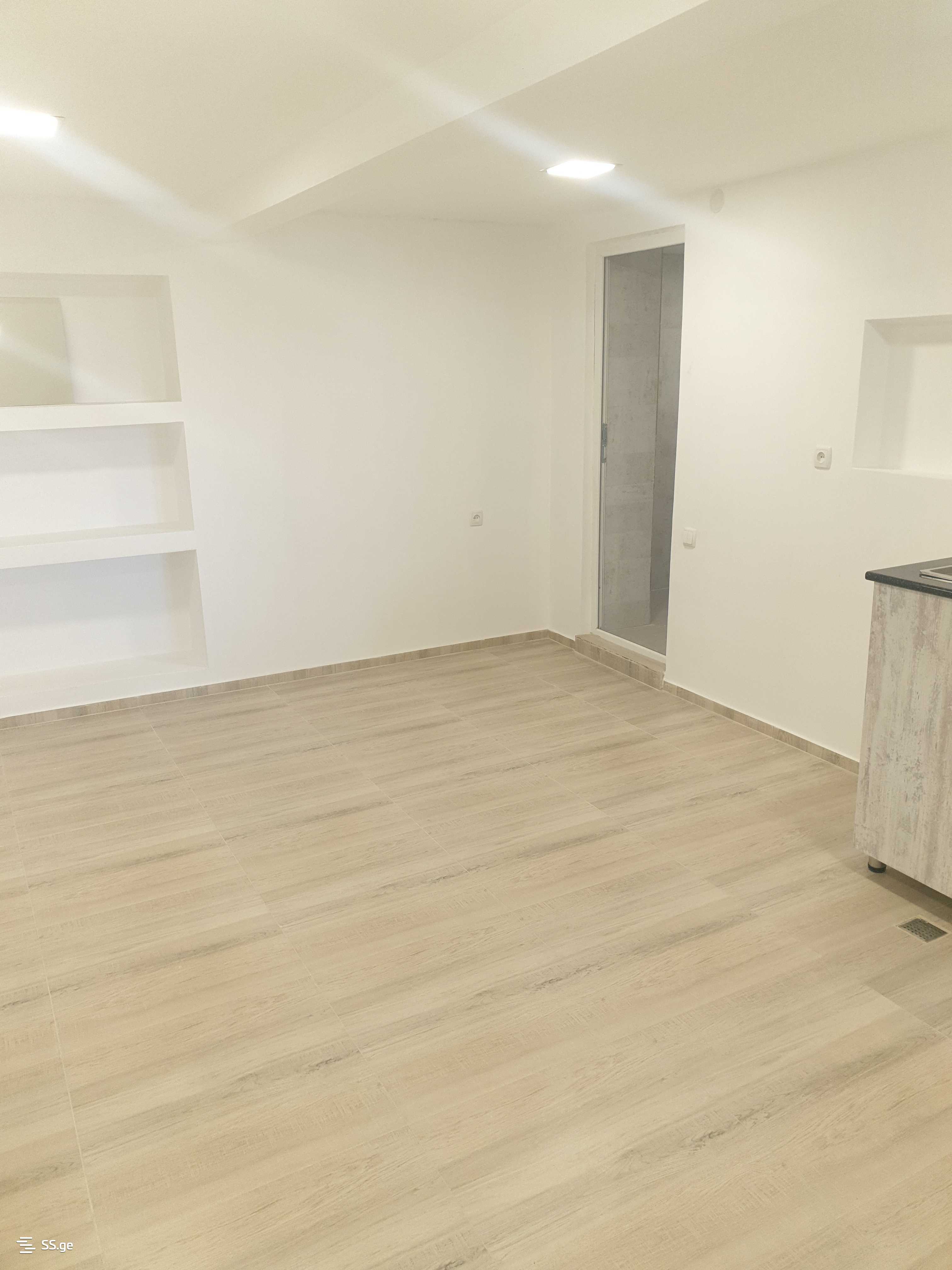 1 room Flat For Rent. Nadzaladevi - Widok 4