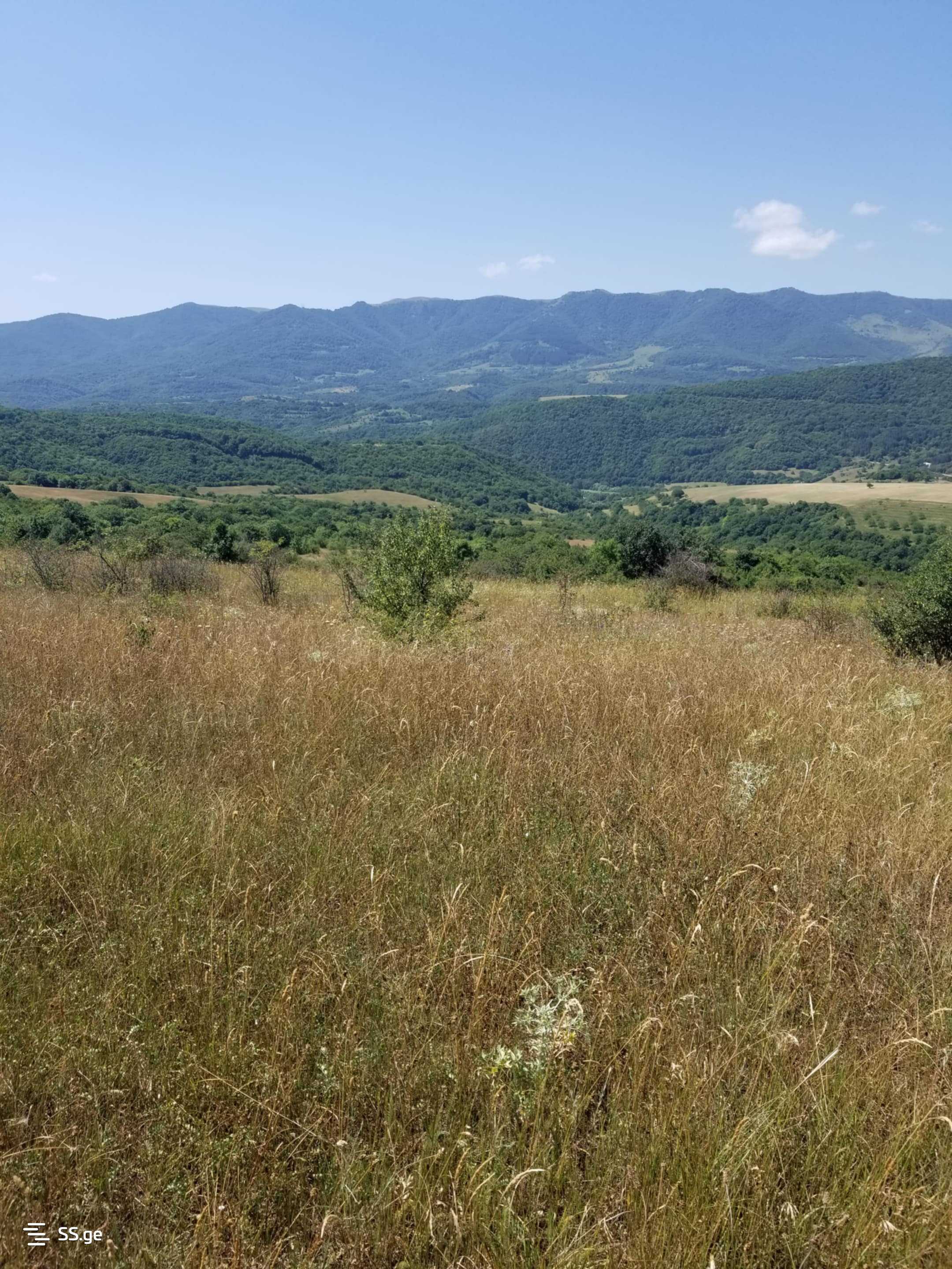 Land For Sale. Manglisi view 2