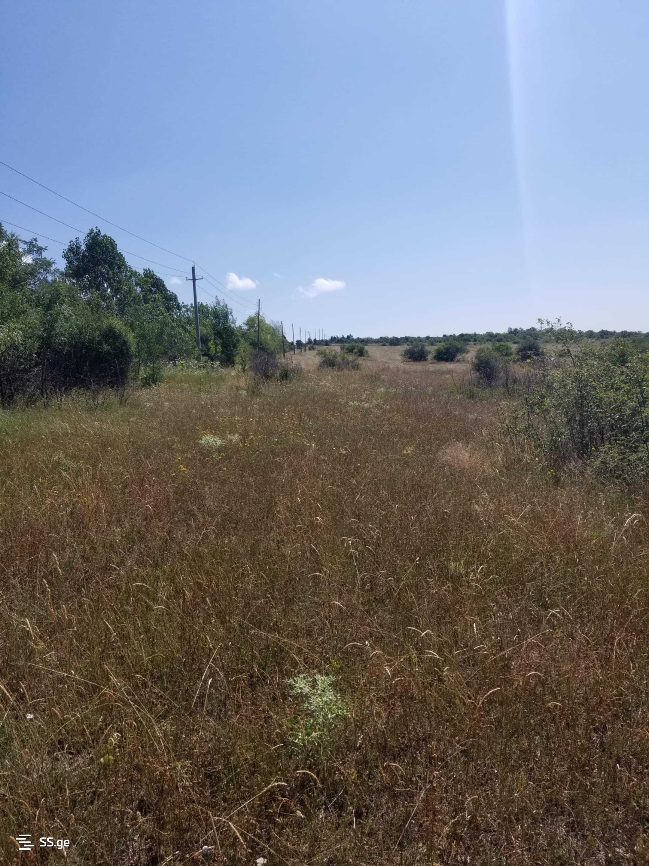 Land For Sale. Manglisi view 4