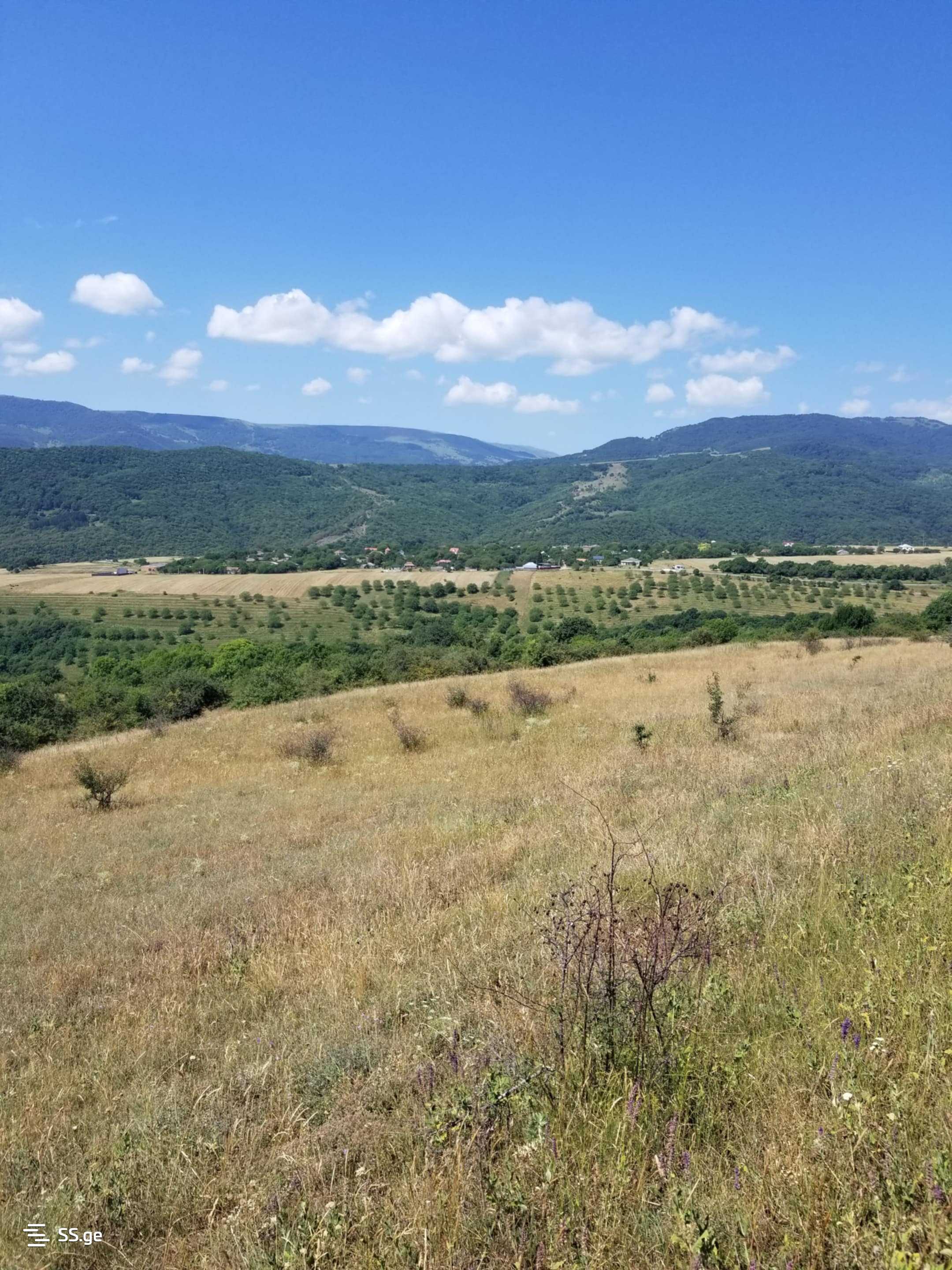Land For Sale. Manglisi view 5