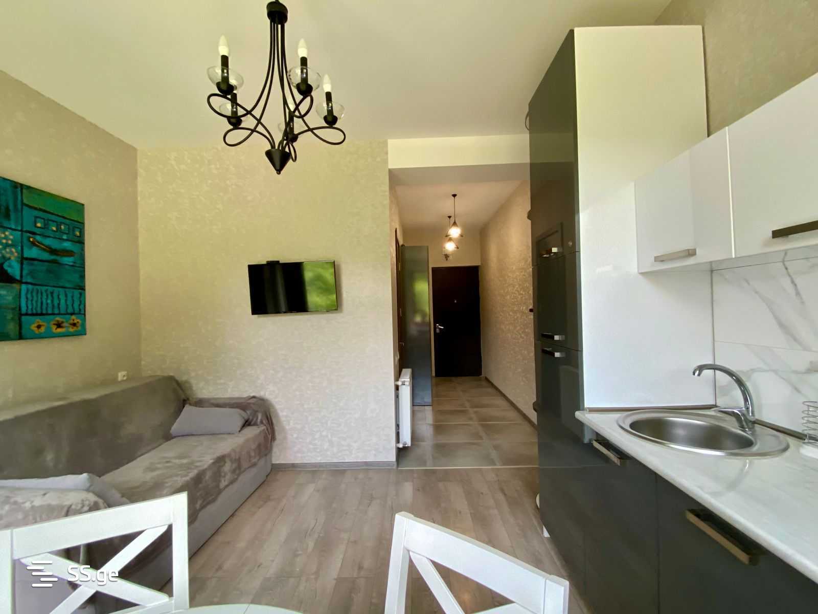 2 Room Flat Daily Rent. Bakuriani, 3 of 11