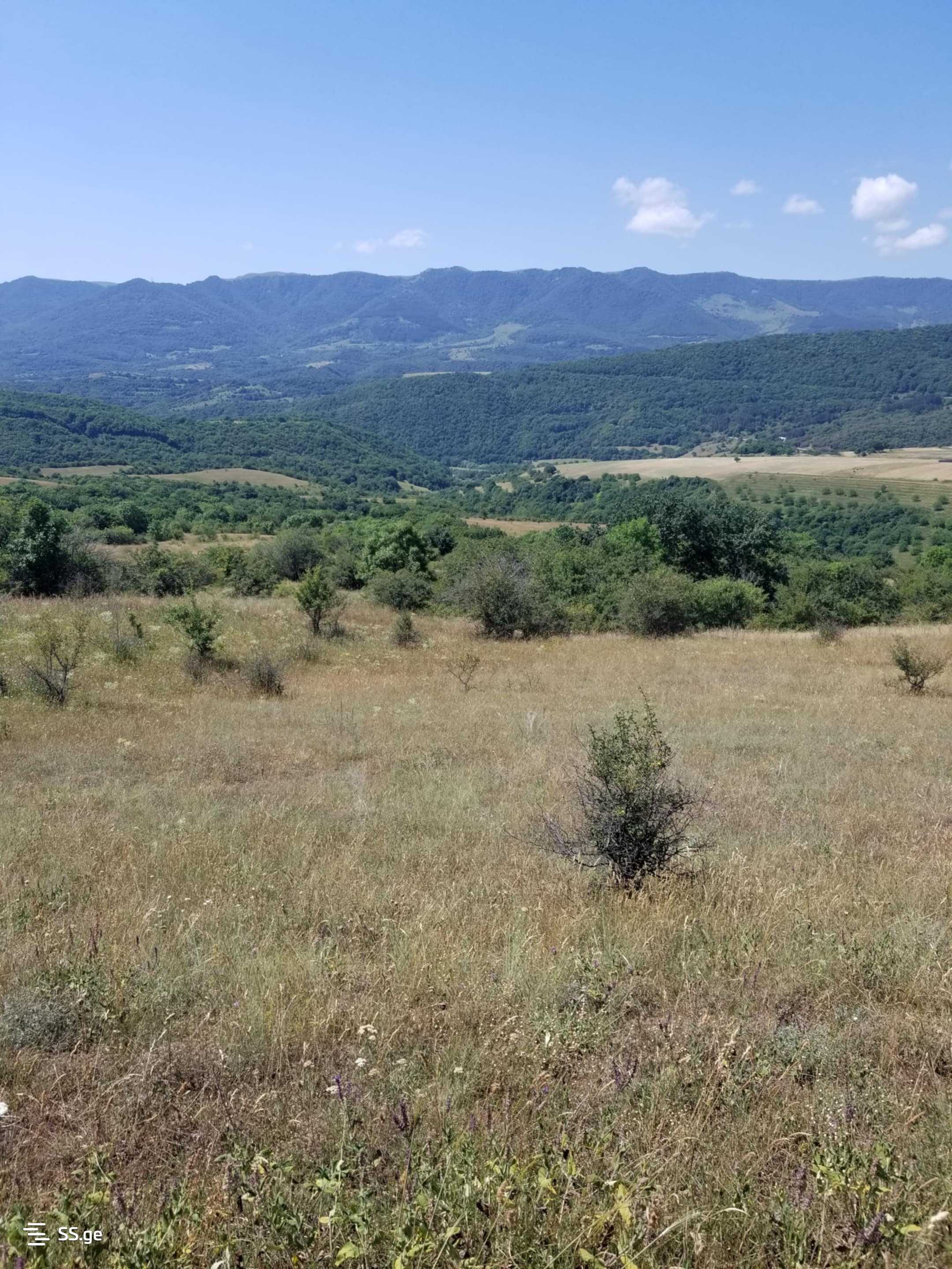 Land For Sale. Manglisi view 3