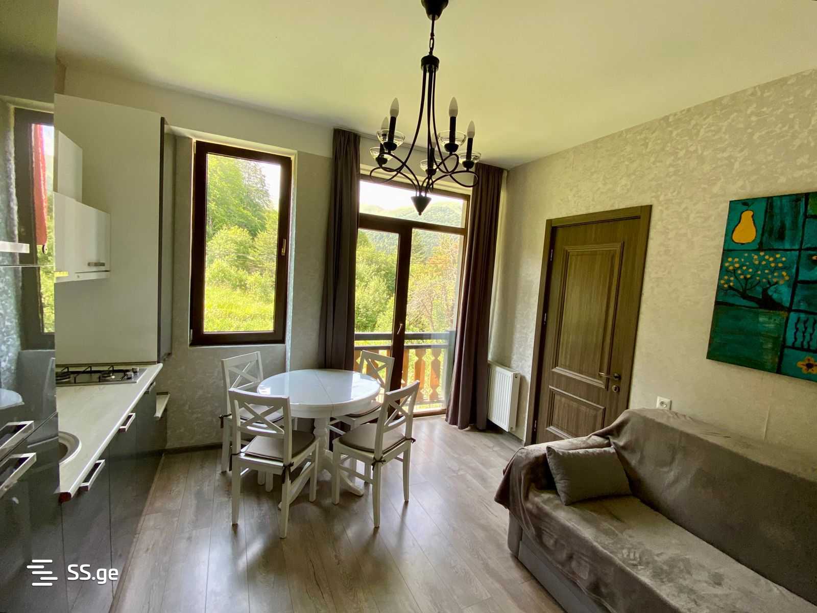 2 Room Flat Daily Rent. Bakuriani, 2 of 11