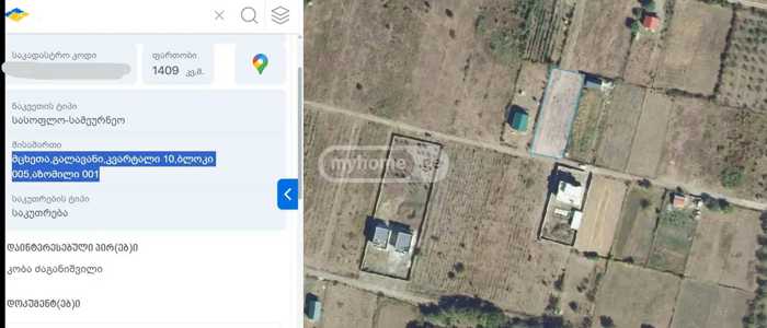 https://static.ss.ge/20250721/14_8749adc1-67d1-46ec-9432-53f6ebf727df_Thumb.jpg