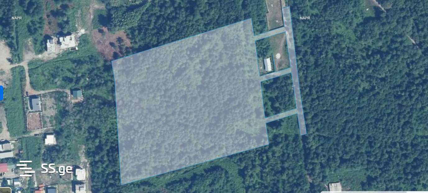 Land For Sale. Shekvetili view 1