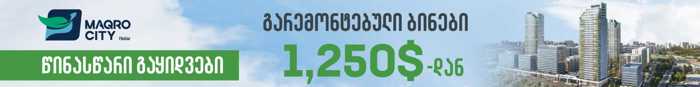 https://static.ss.ge/20250721/16_22ef9601-3cb3-4773-8e0e-500627525379_Thumb.jpg