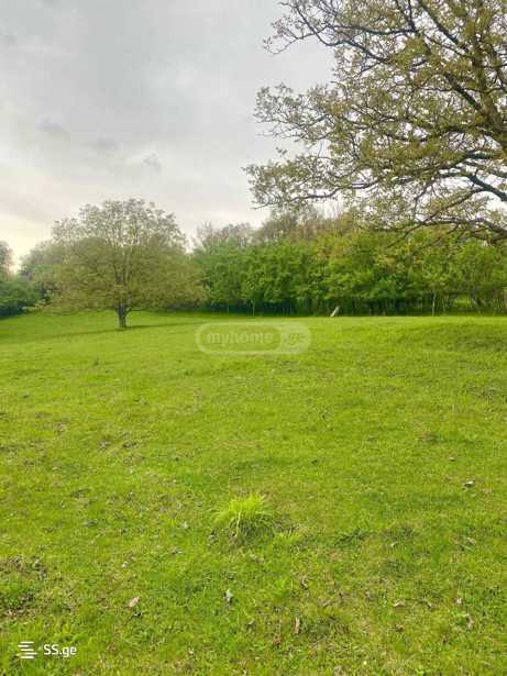 Land For Sale. Tianeti