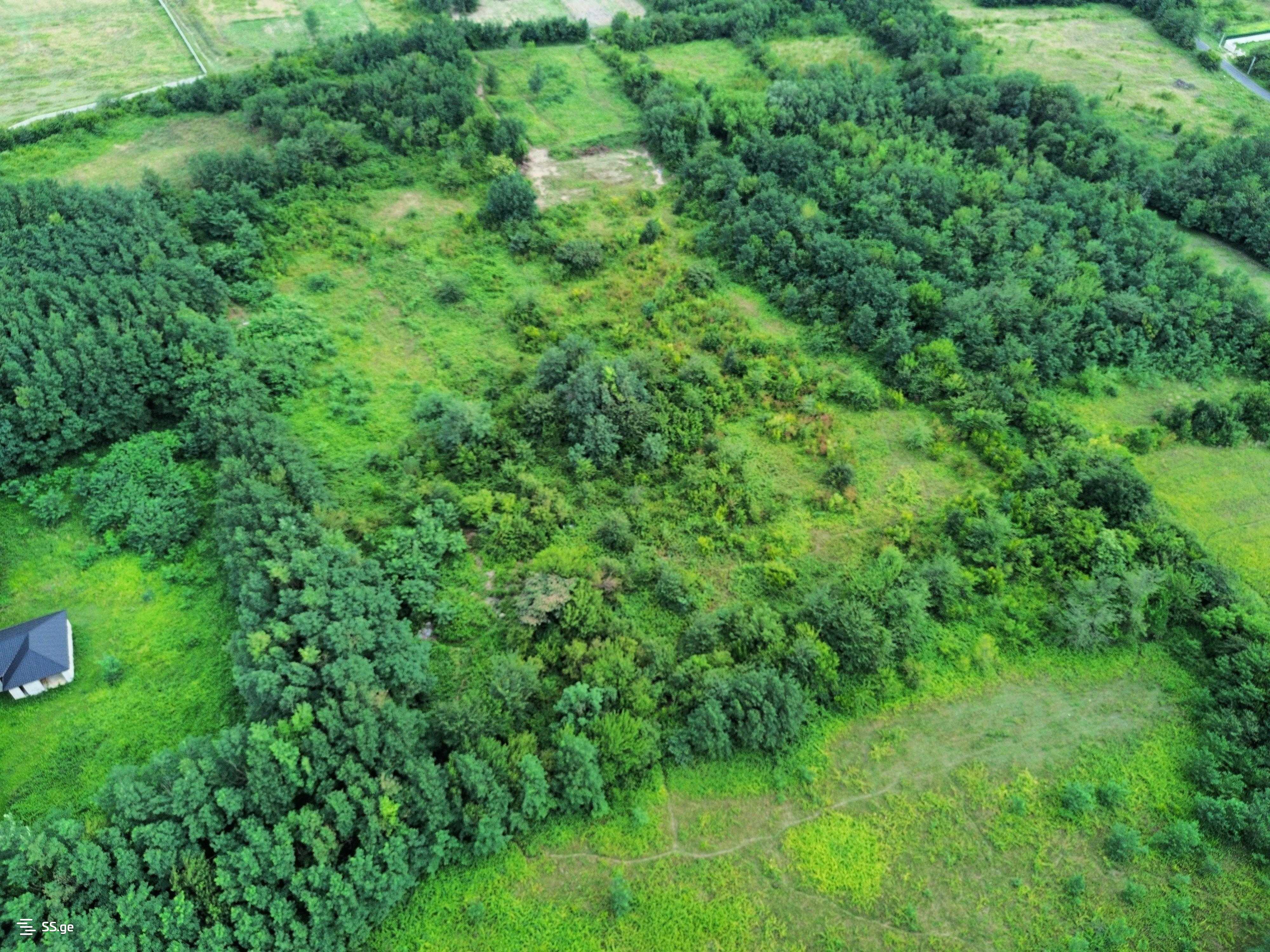 Land For Sale. Kutaisi view 5