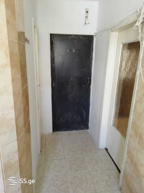 https://static.ss.ge/20250724/6_2ed11b81-300b-486d-932d-6fef303e3aa7_Thumb.jpg
