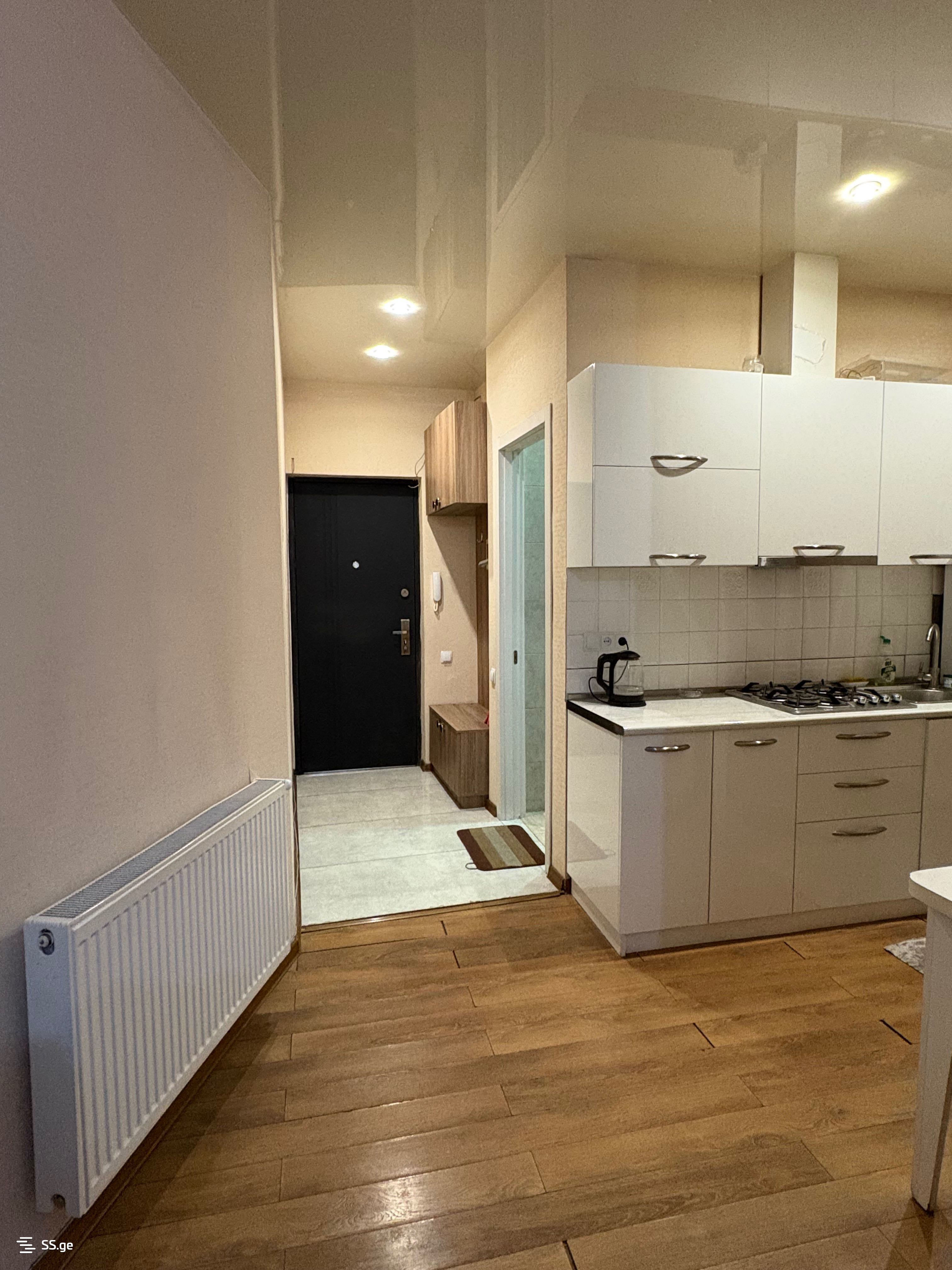 2 Room Flat Daily Rent. Saburtalo, 9 of 10