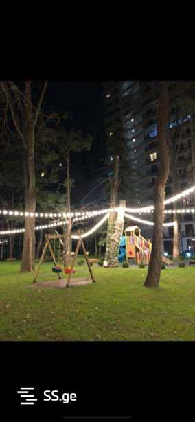 https://static.ss.ge/20250727/6_6e788b7d-16a7-4dd0-98a8-317072daa029_Thumb.jpg