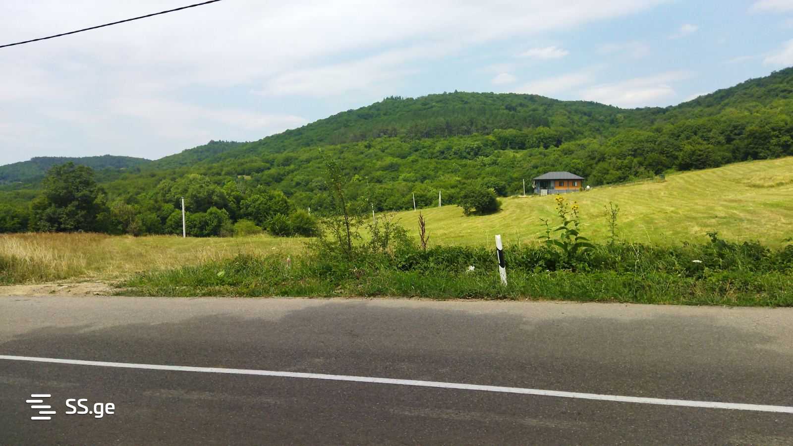 Land For Sale. Orbeti view 7