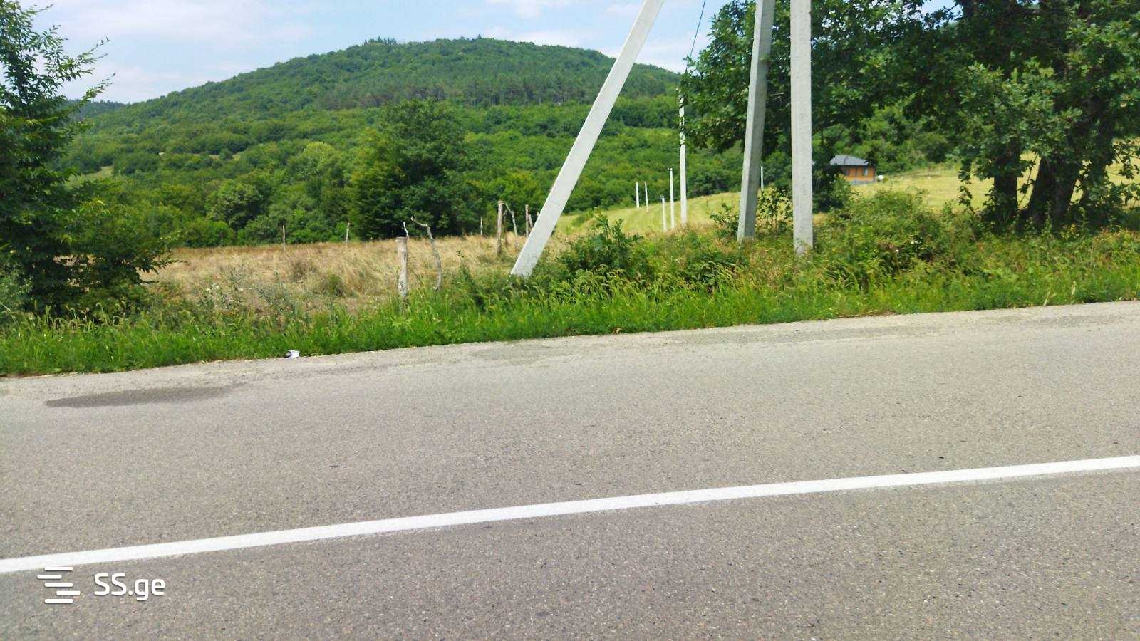 Land For Sale. Orbeti view 2