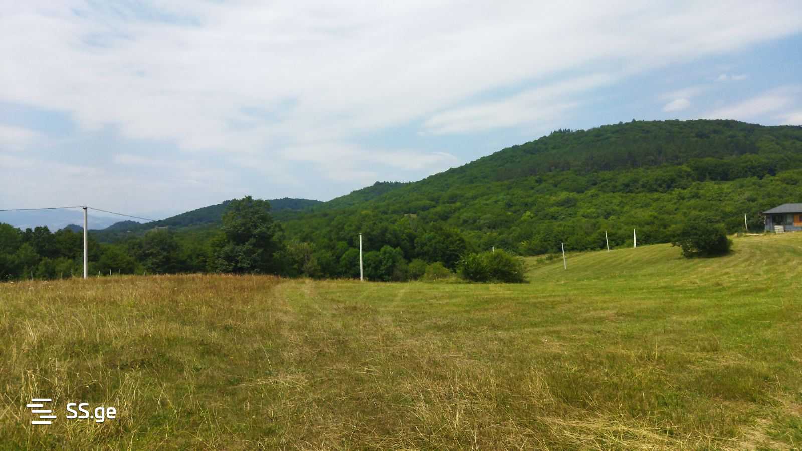 Land For Sale. Orbeti view 8