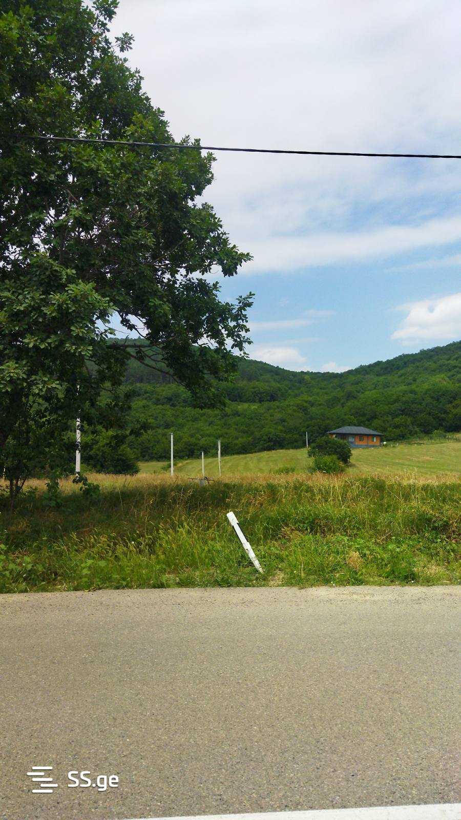 Land For Sale. Orbeti view 1