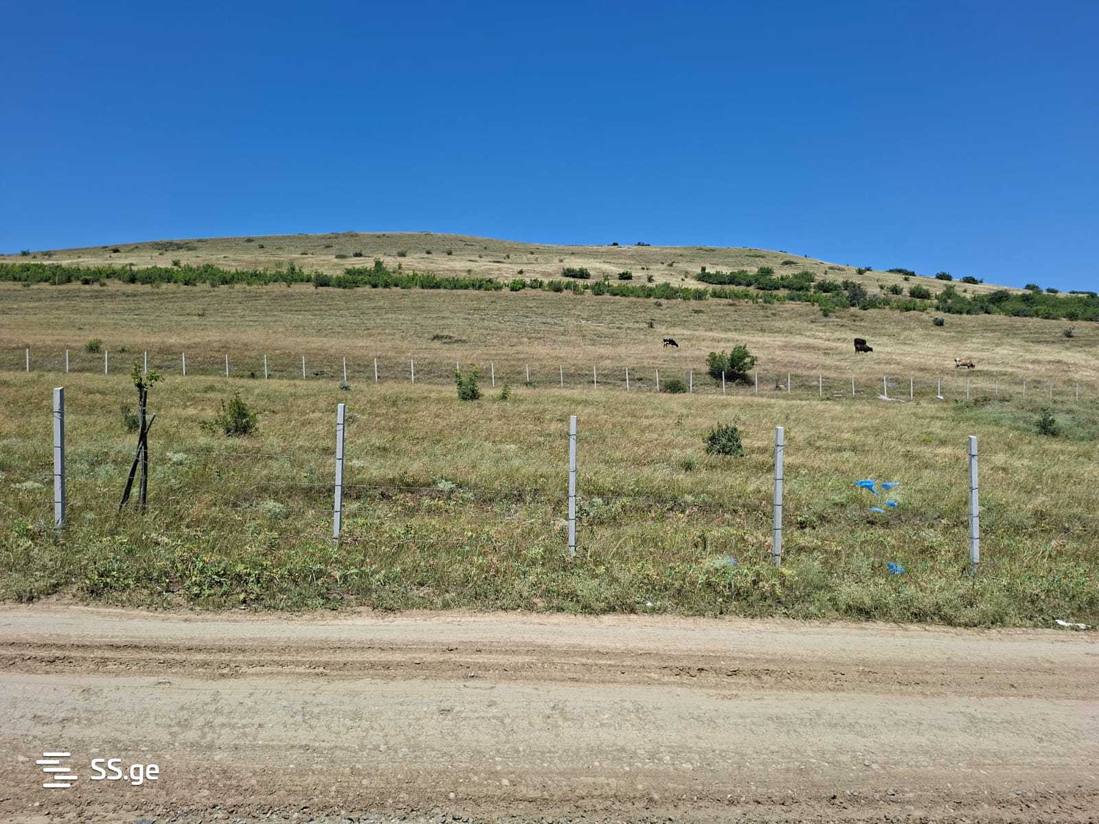 Land For Sale. Lisi lake - Ansicht 2