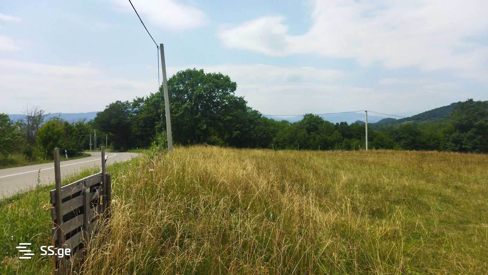 Land For Sale. Orbeti view 6