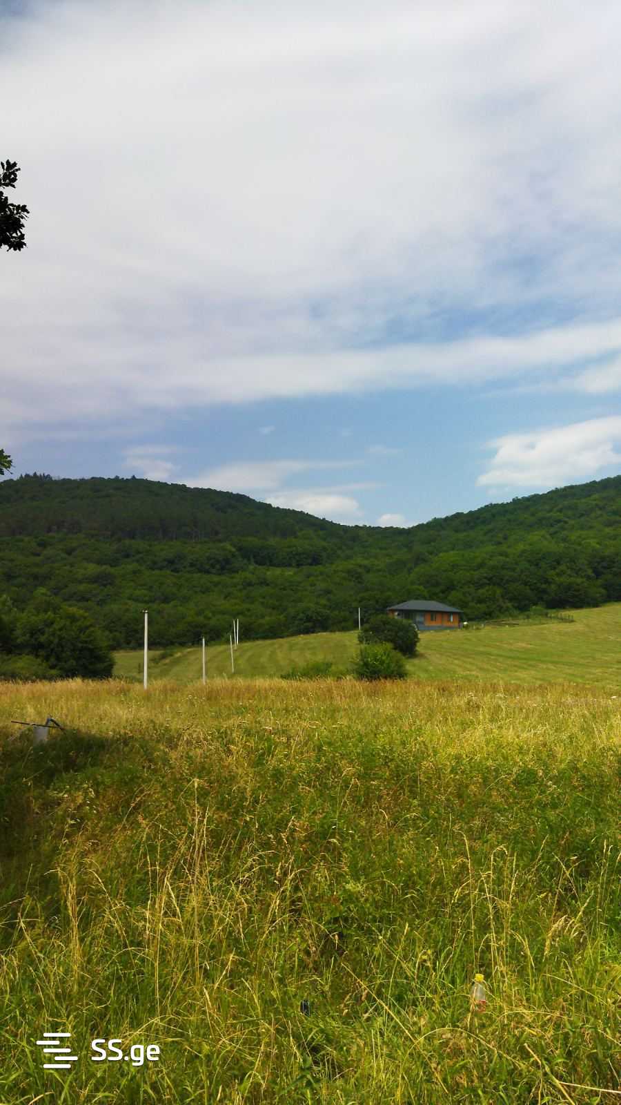 Land For Sale. Orbeti view 3