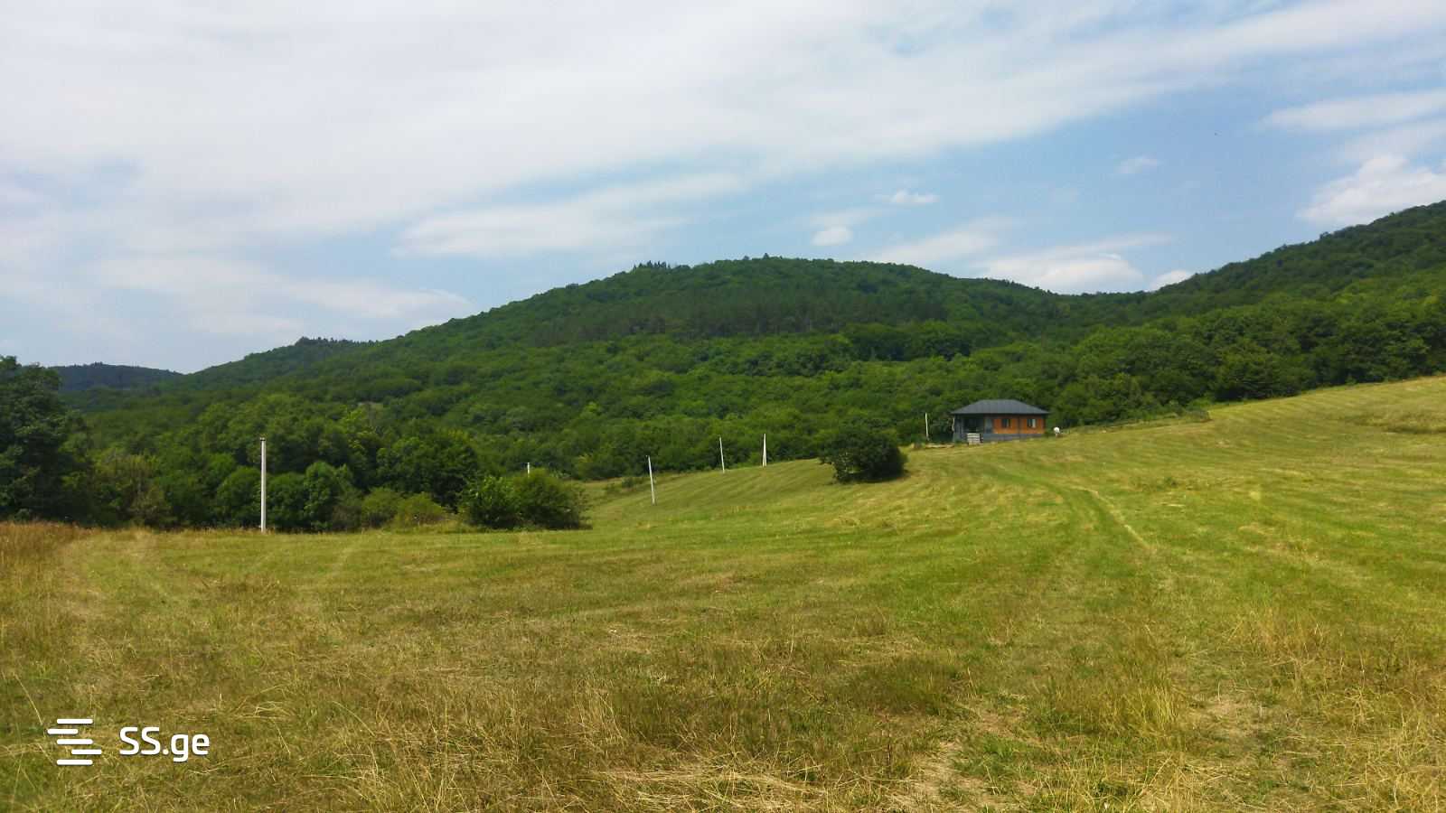 Land For Sale. Orbeti view 10