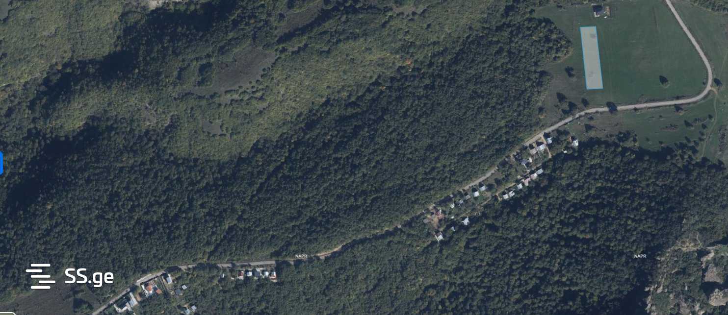 Land For Sale. Orbeti view 9