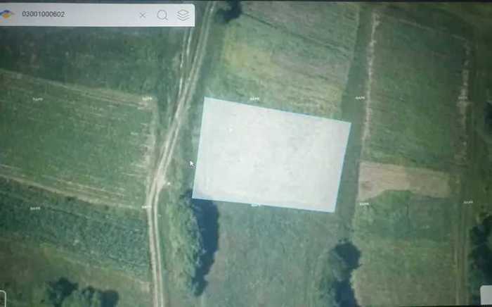 Land For Sale. Abastumani