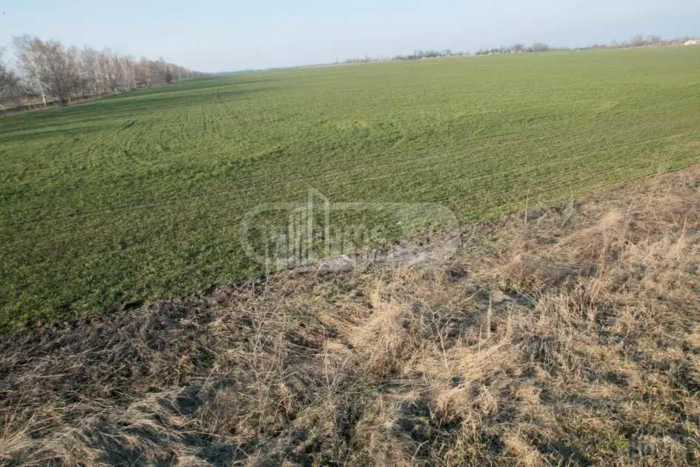 Land For Sale. Dedoplistskaro