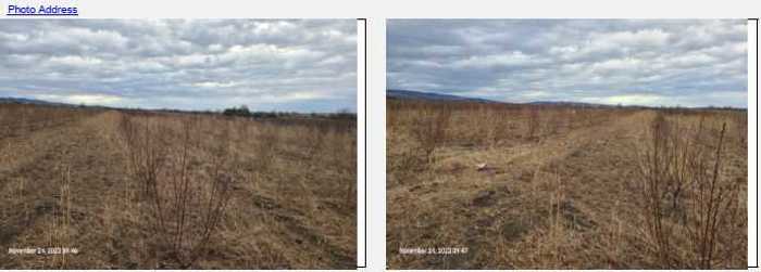 Land For Sale. Arashenda