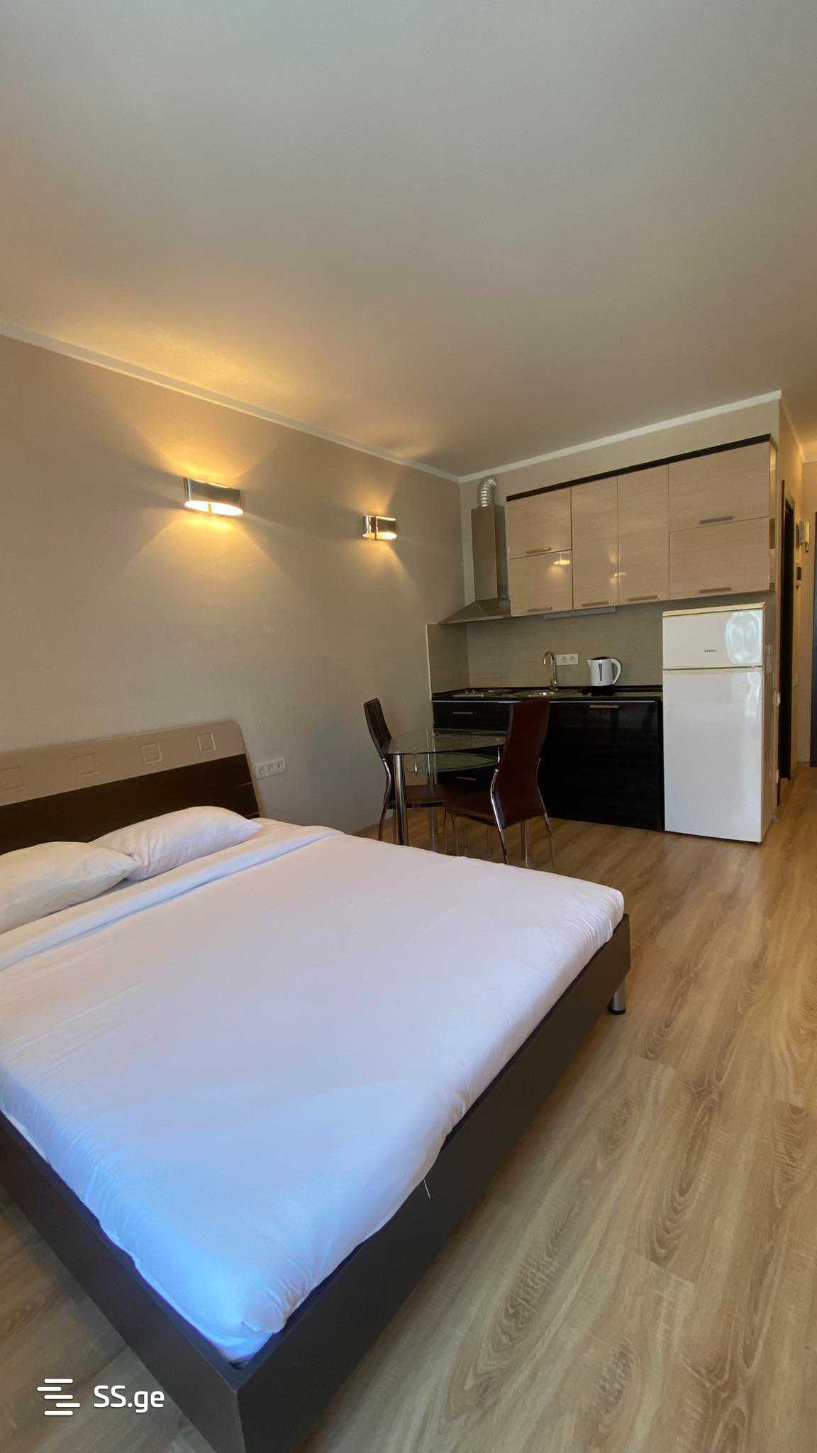 1 Room Flat Daily Rent. Batumi view 1