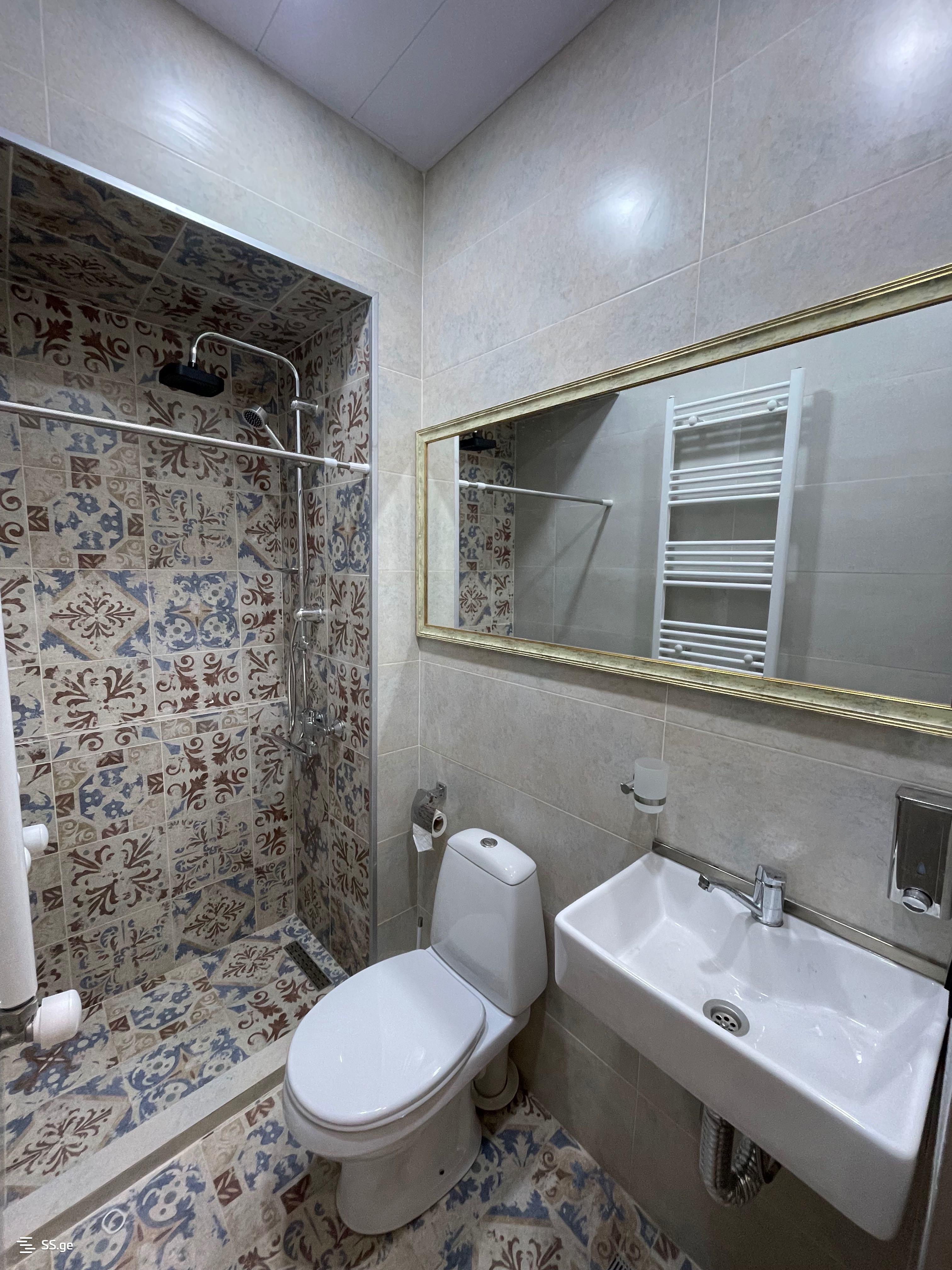 1 Room Flat Daily Rent. Borjomi view 10