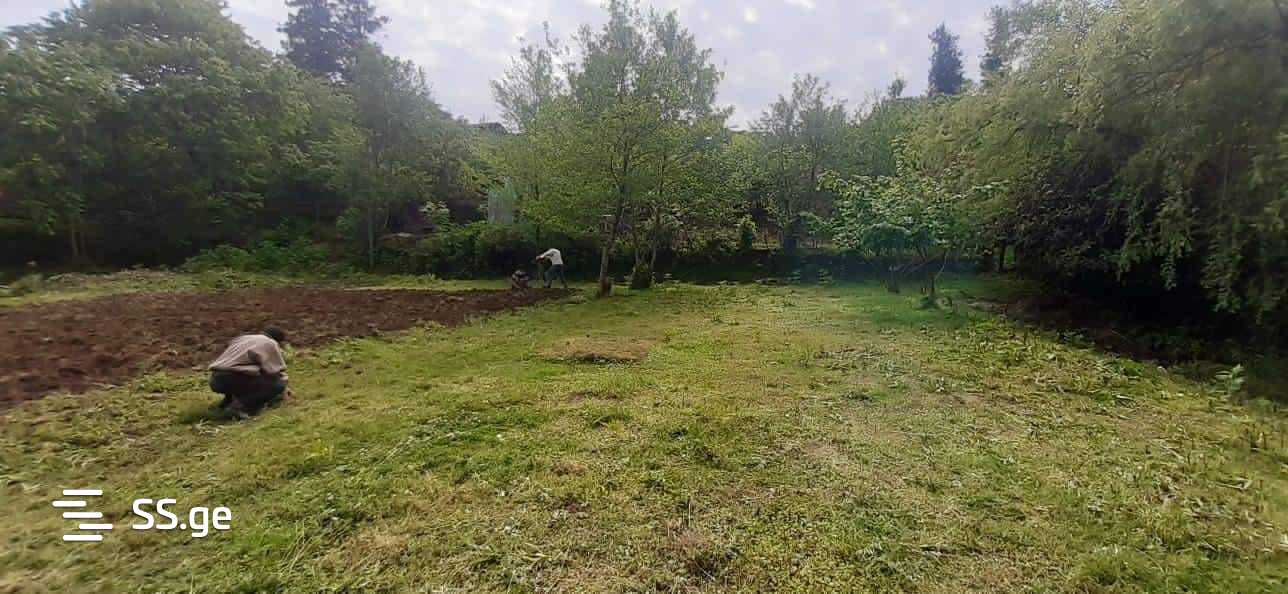 Land For Rent. Chaqvi view 3