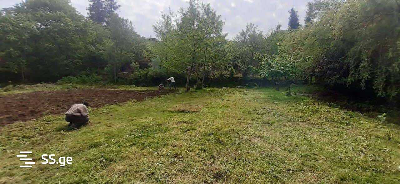 Land For Rent. Chaqvi view 2