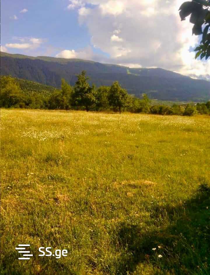 Land For Sale. Mestia view 9
