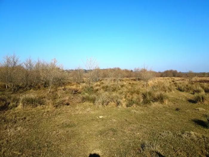 Land For Sale. Zemo Natanebi